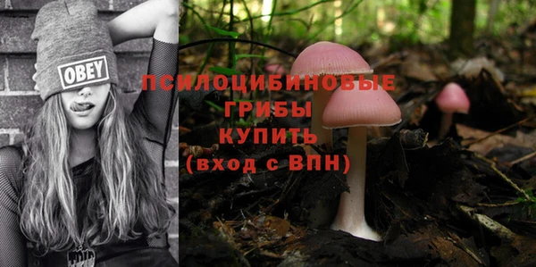 мескалин Осташков