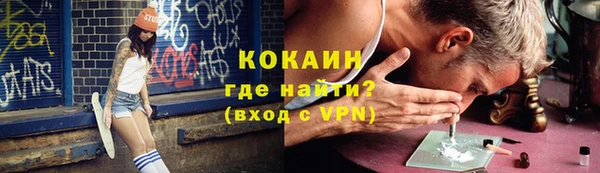 шишки Галич