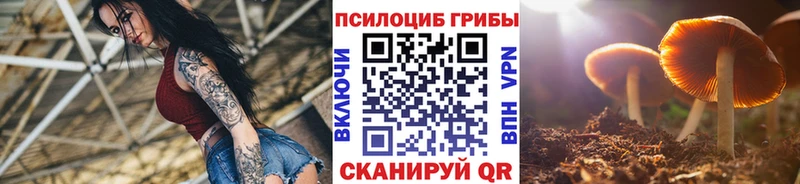 Псилоцибиновые грибы Cubensis Углегорск